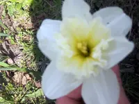 HPIM4201.webp