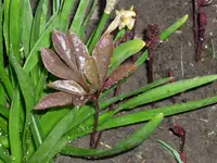 23.04.2010 002.webp