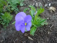 DSC04229.webp