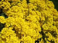 K1024_015.webp