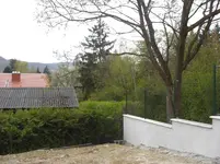 CIMG2178.webp
