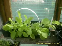 JD800005.webp