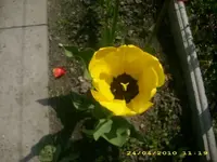 JD800006.webp
