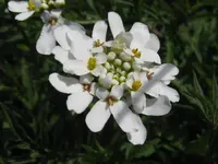 IMG_3943_1024x768.webp