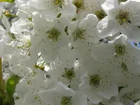 IMG_3959_1024x768.webp