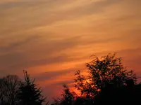 IMG_0885.webp