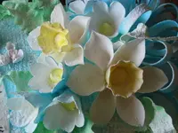 k-IMG_2770.webp