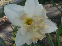 IMG_3971_1024x768.webp