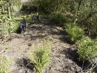 Fotos 002.webp