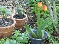 Fotos 015.webp