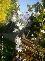 JD800018.webp