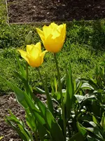P1010642.webp