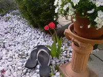 Foto-0024.webp