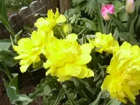 25.04.2010 002.webp