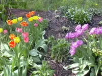 25.04.2010 008.webp