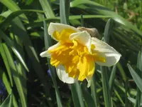 003.webp
