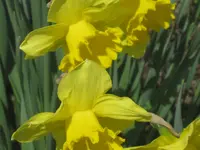 018.webp