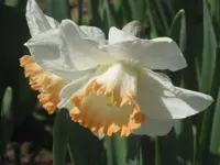 012.webp