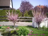 PIC00023.webp