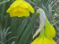 024.webp