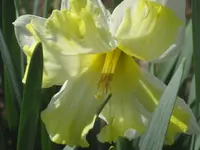 015.webp