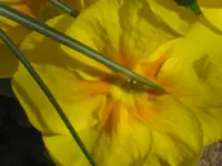 031.webp