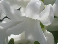 029.webp