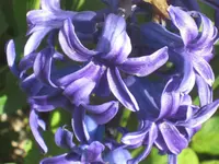 045.webp