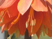 020.webp