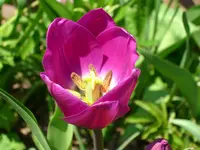 DSCI0868.webp