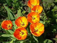 DSCI0869.webp