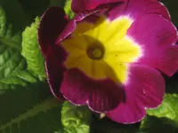 053.webp