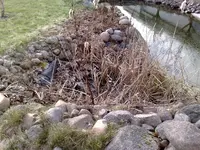 260320101221.webp