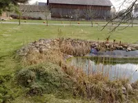 260320101227.webp