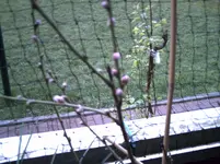 PICT0211.webp