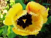 015.webp