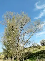 DSC05542.webp