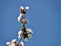 DSC05561.webp