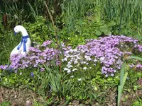 IMG_1079.webp