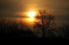 DSC_5034.webp