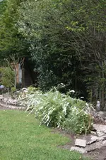 IMG_1260.webp