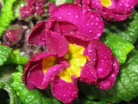IMG_4031_1024x768.webp