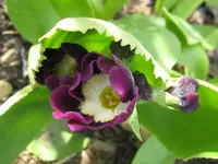 IMG_3986_1024x768.webp