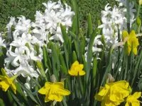 011.webp