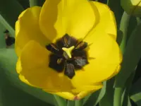 020.webp