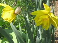 013.webp