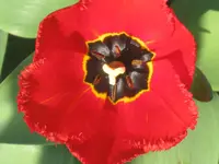 022.webp