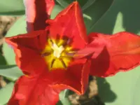 024.webp