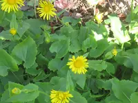 026.webp