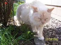 100_2408.webp